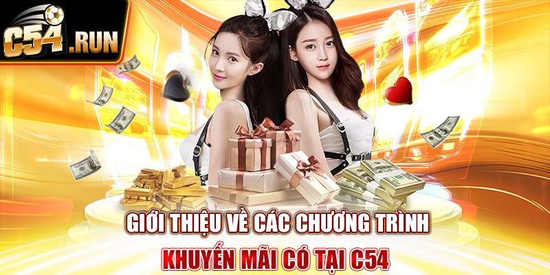 Giới thiệu về các chương trình khuyến mãi có tại C54